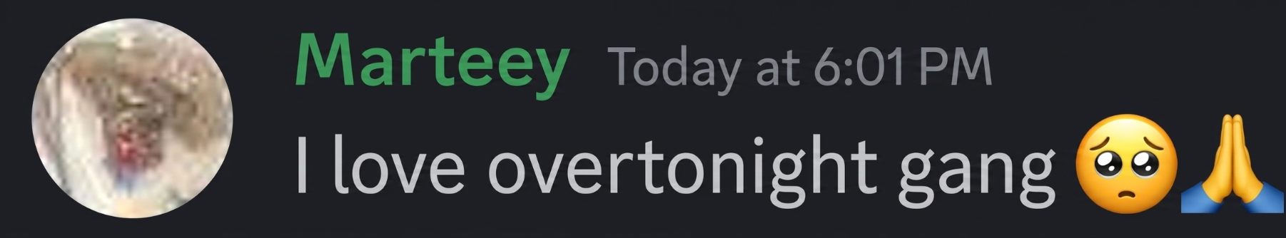 Marteey supporter